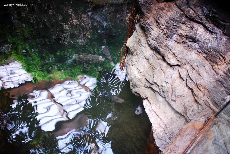 Illustration for article titled PhO-TAYGraphy Club: Water, Water, Everywhere